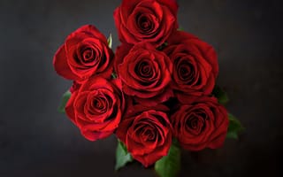 Картинка Букет красных роз на сером фоне вид сверху