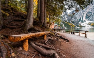 Картинка Лавка у деревьев в парке у озера в горах