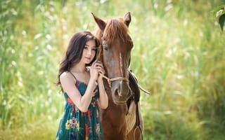Картинка лошади, конь, животные, девушка, женщина, молодая, азиатка