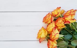 Картинка Букет оранжевых роз на белом фоне