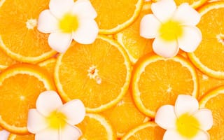 Картинка апельсин, цитрус, фрукт, фрукты, ломтик, цветок, цветущий, плюмерия