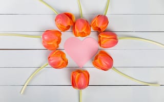 Картинка любовь, романтика, романтический, цветок, цветущий, сердце, тюльпан