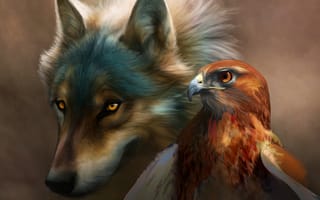 Картинка Голова волка и орла