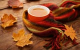 Обои: autumn, tea, чашка, осенние листья, осень, fall, maple, scarf, cup, leaves, клён