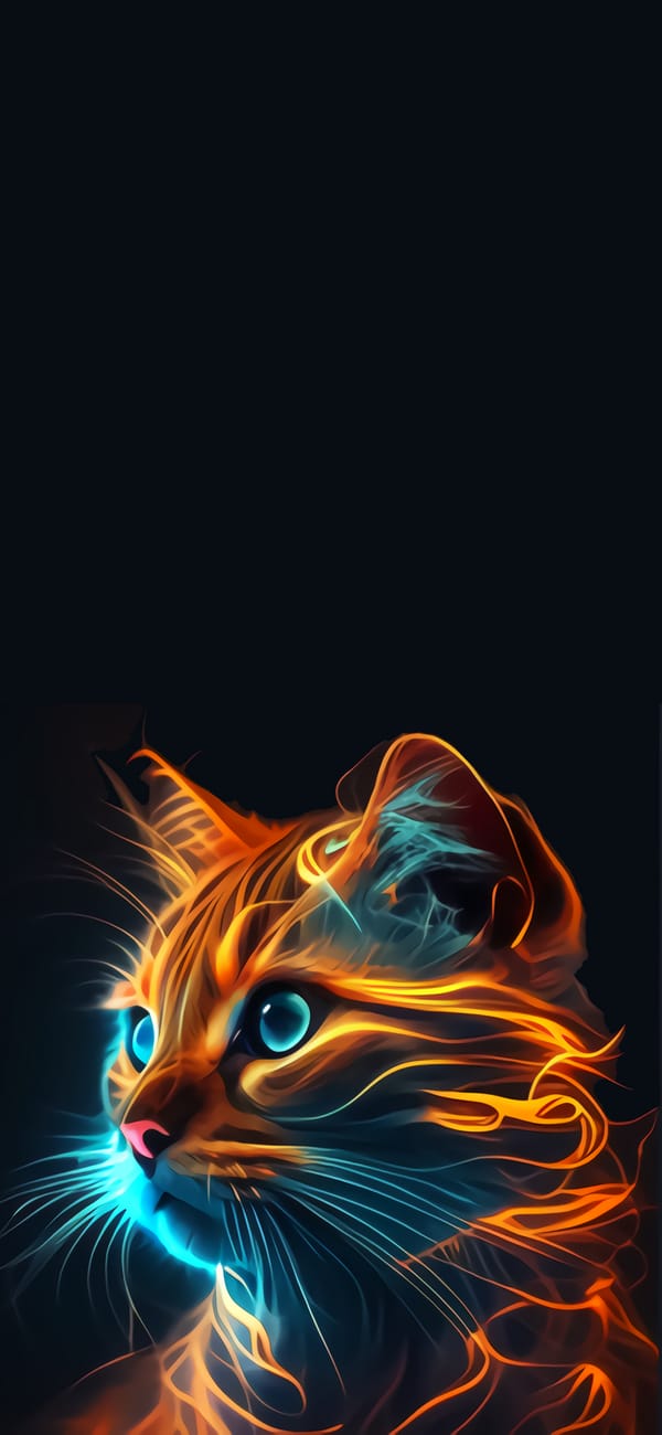 Обои
