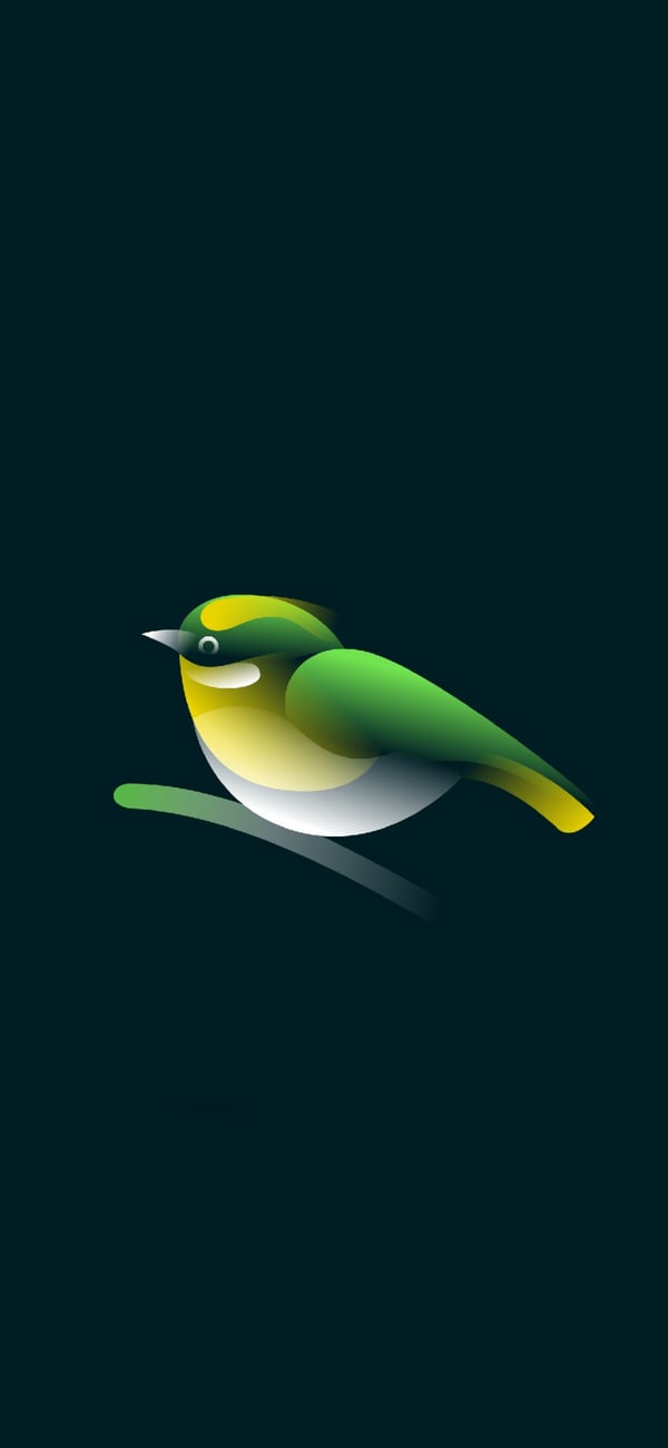 Обои