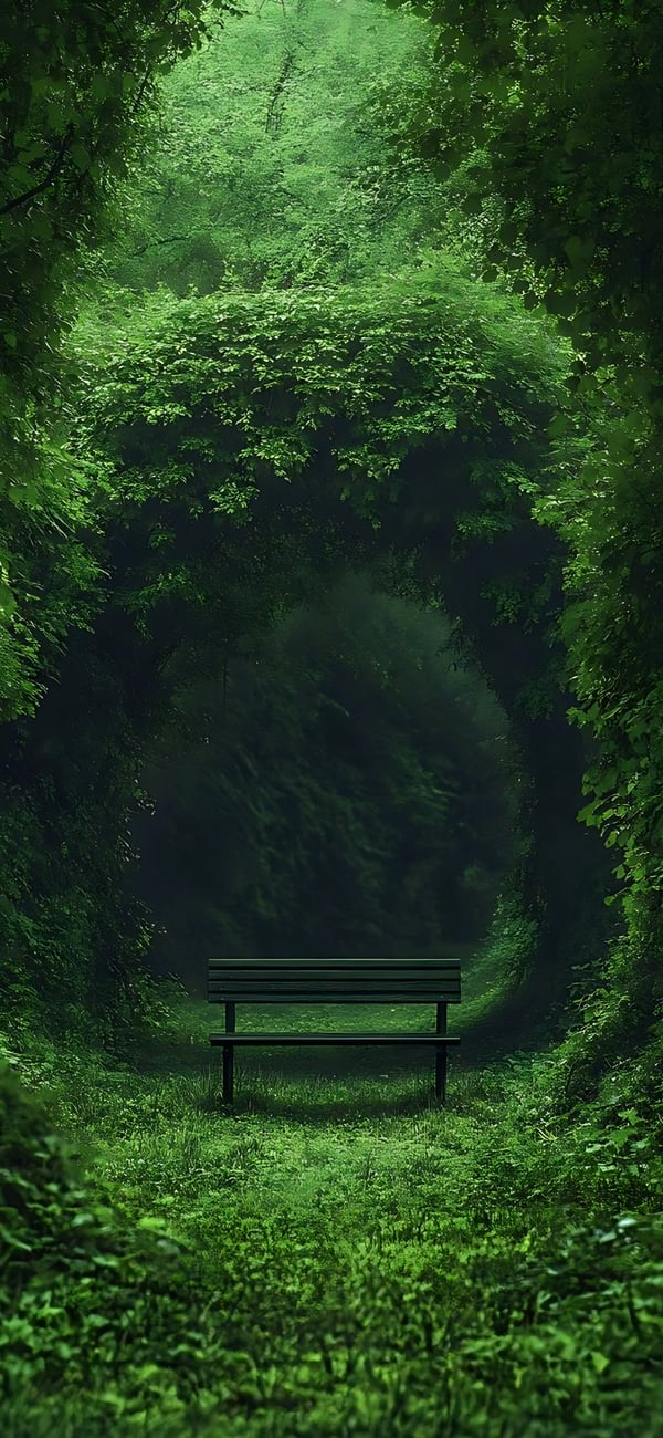 Обои