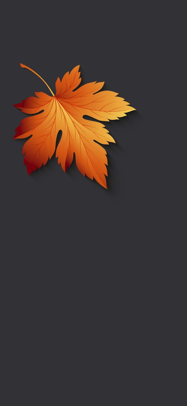 Обои