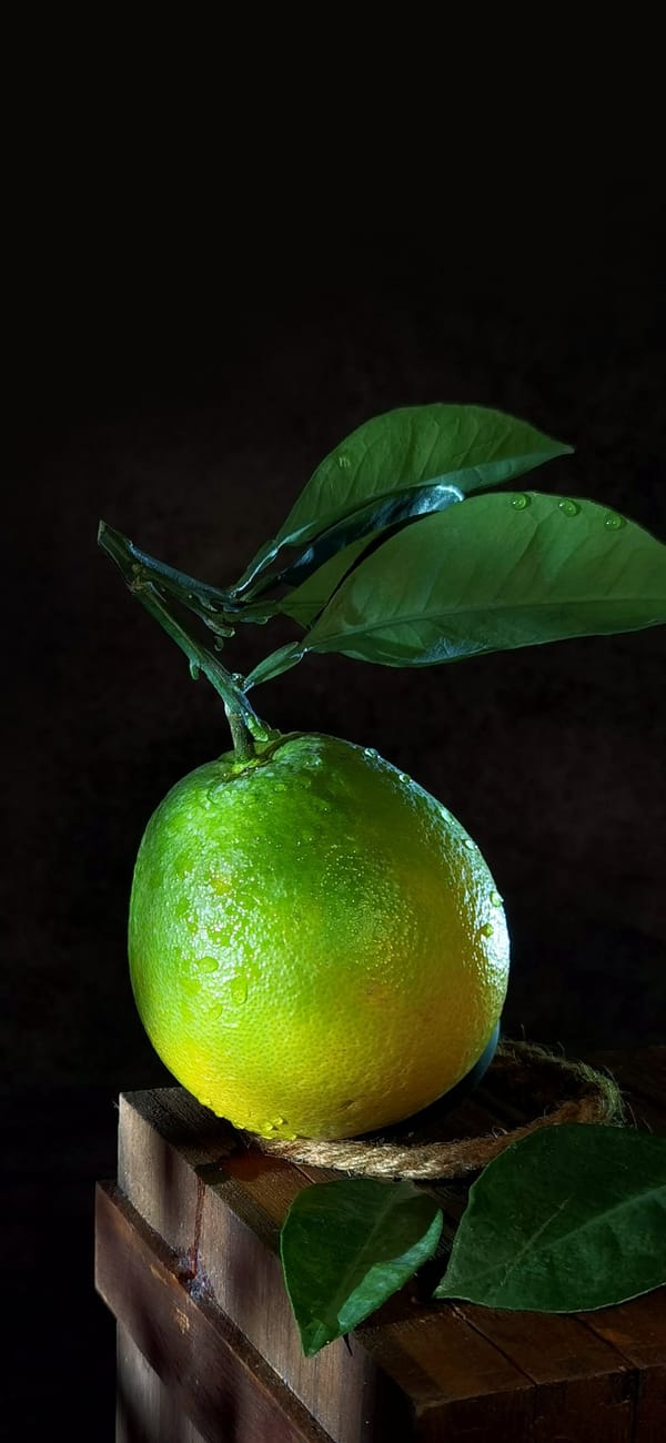 Обои