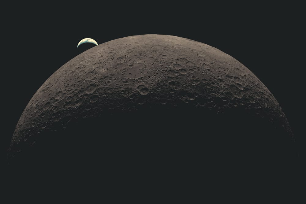 Обои
