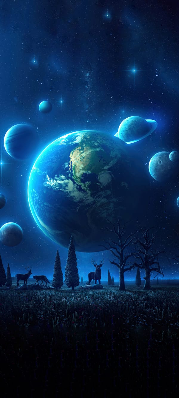 Обои