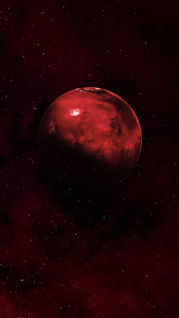Обои