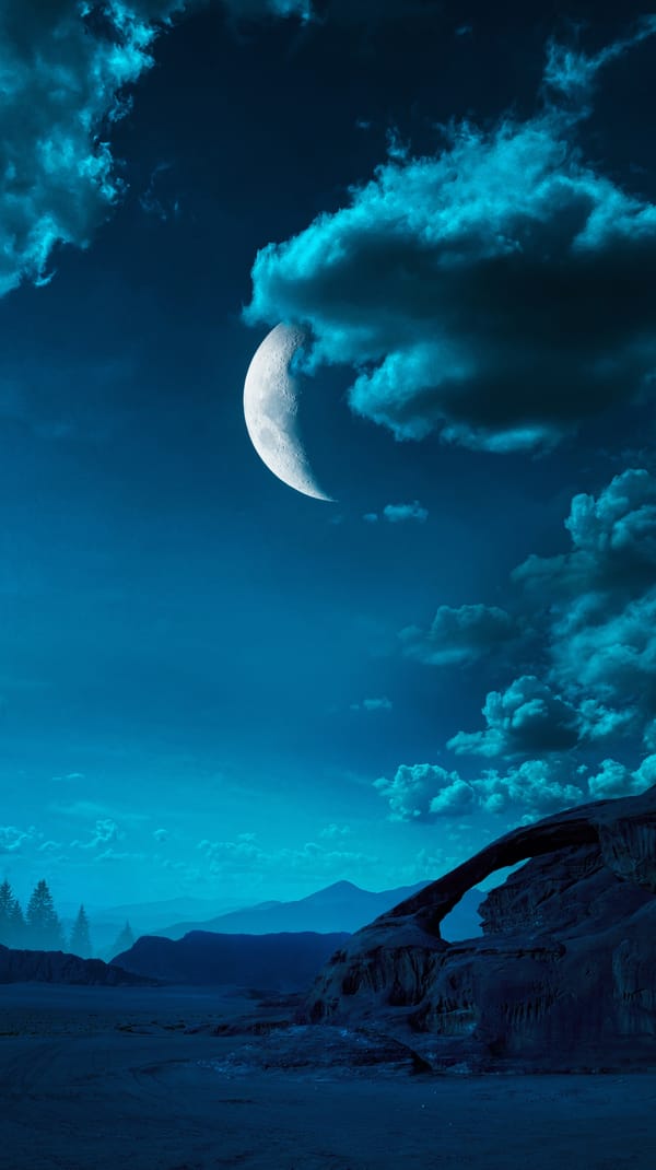 Обои