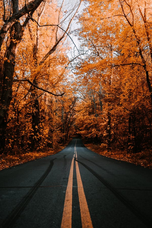 Обои