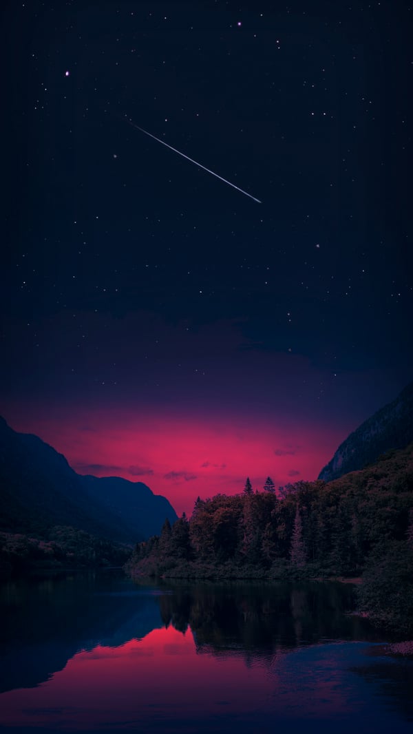 Обои