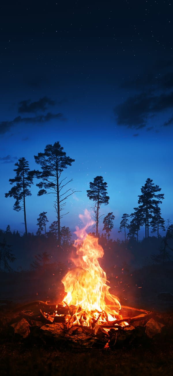 Фон для телефона: костер, огонь, горящий, лес, деревья, дерево, природа, ночь, темнота