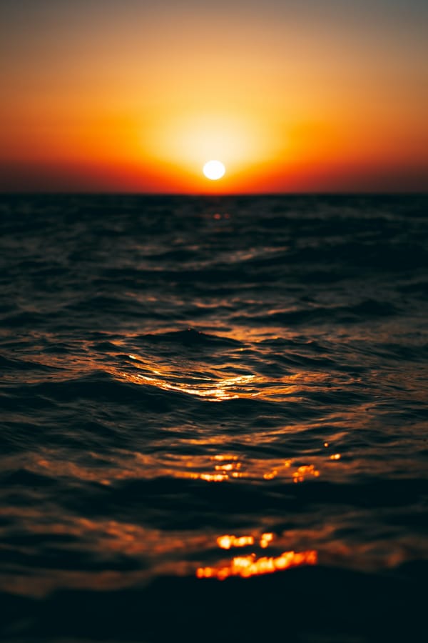 Обои