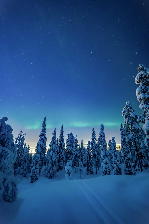 Обои