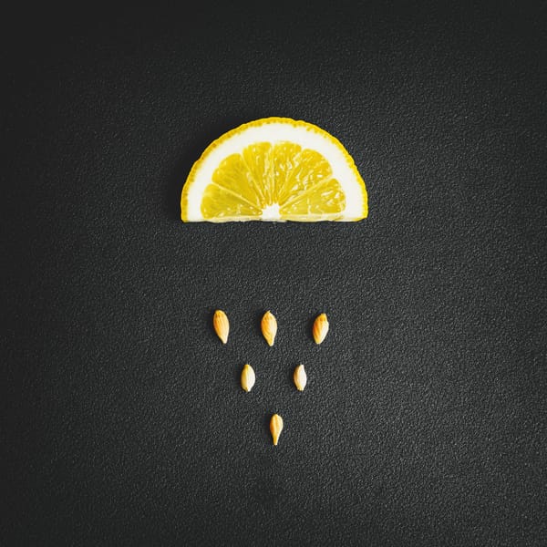 Обои