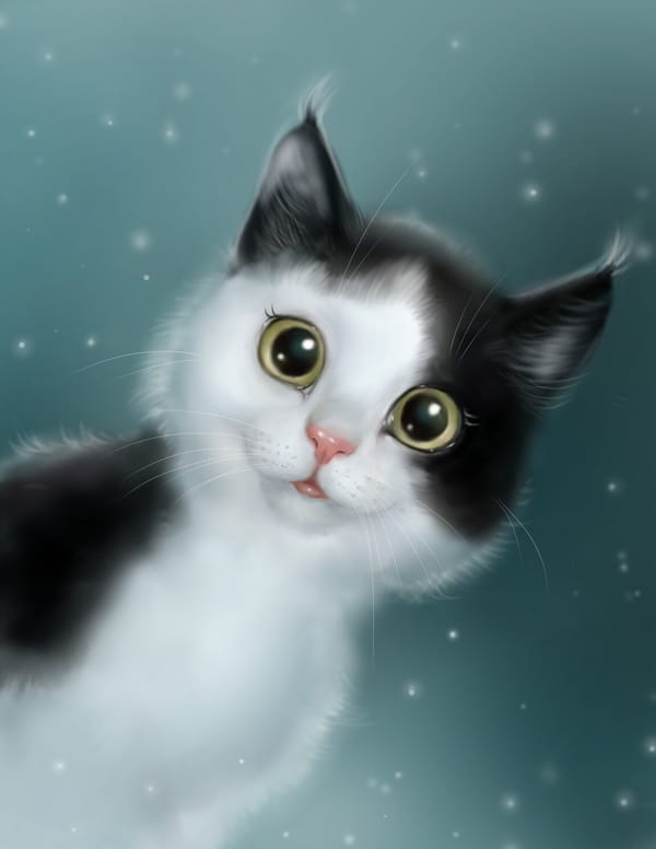 Обои
