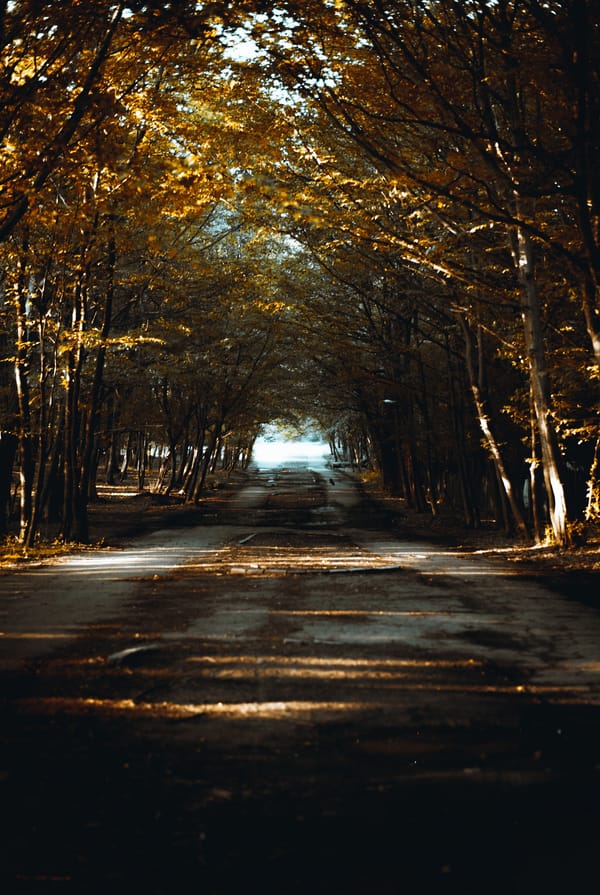 Обои