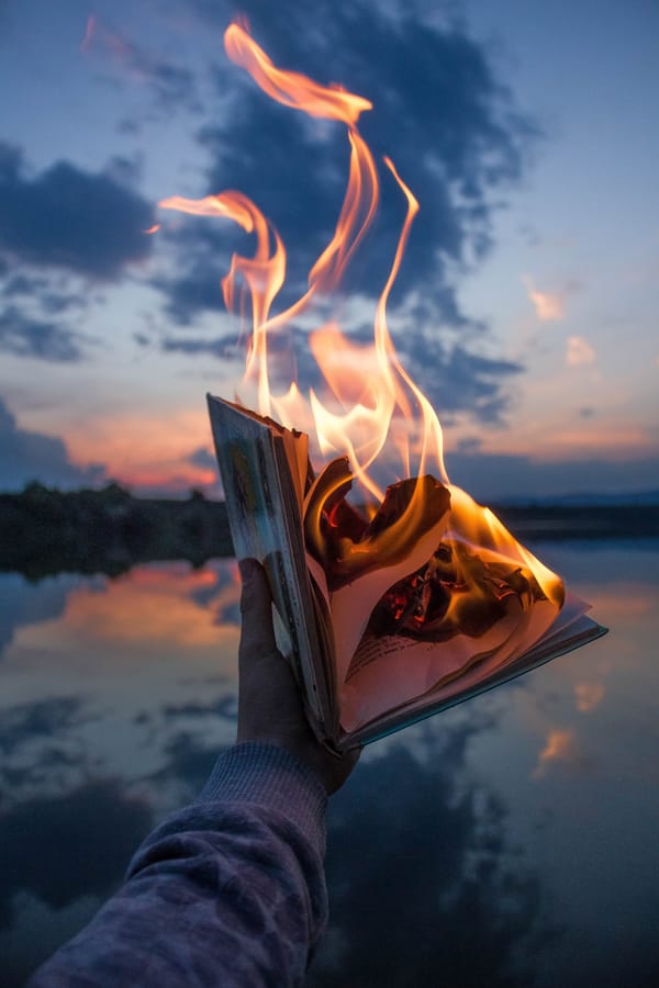 Обои