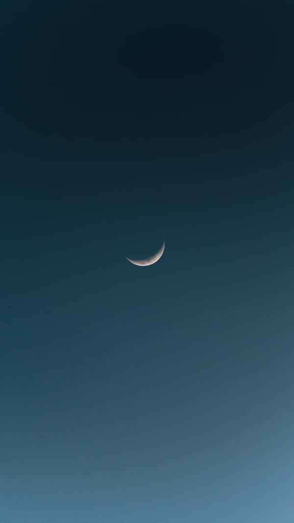 Обои