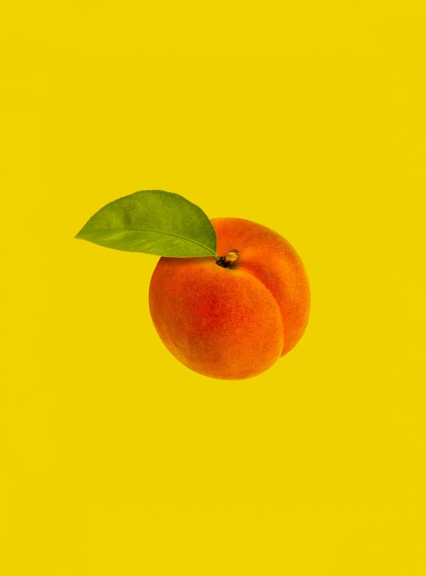 Обои