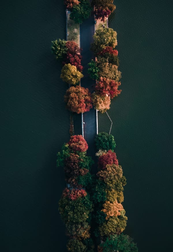 Обои