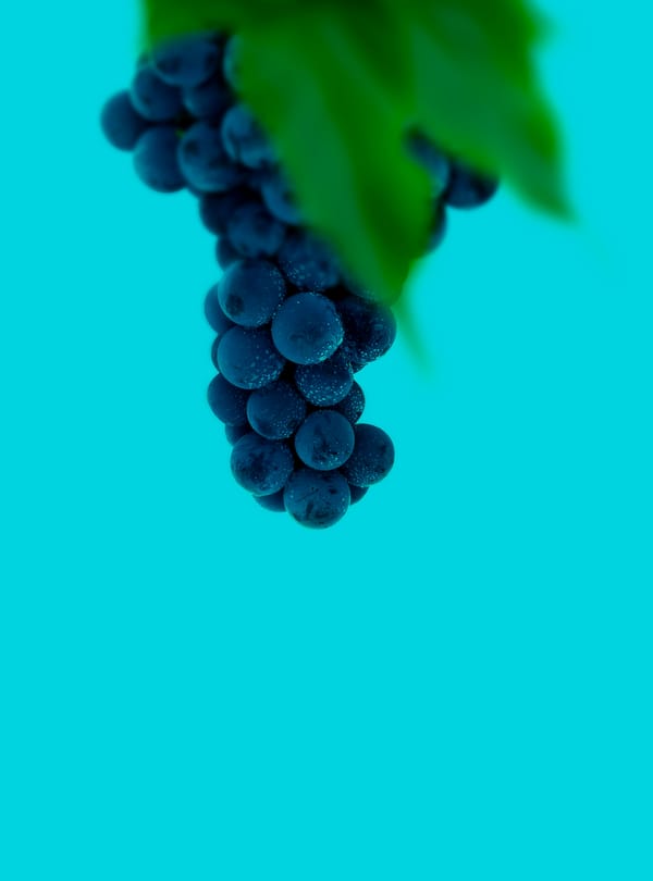 Обои