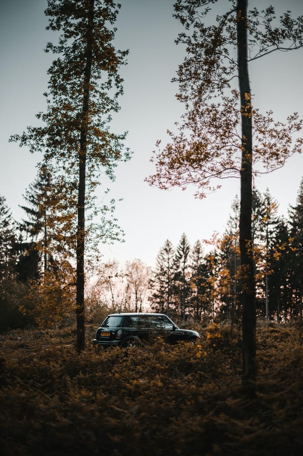 Обои