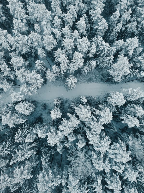 Обои