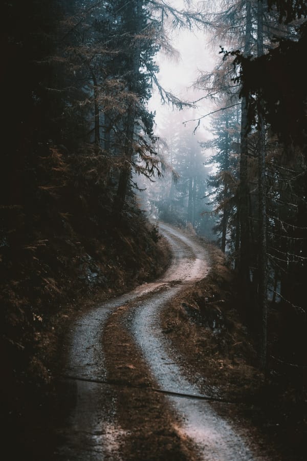 Обои
