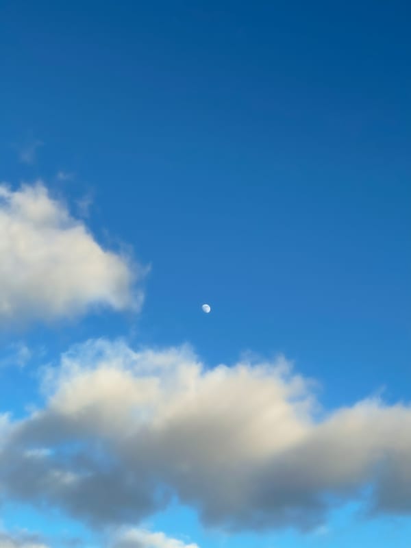 Обои