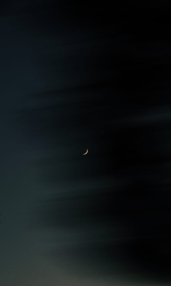 Обои