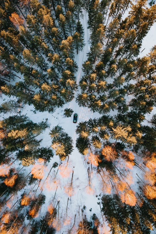 Обои