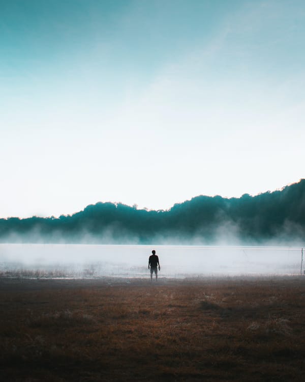 Обои