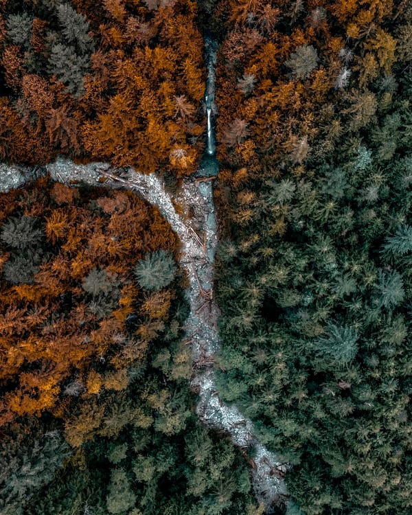 Обои