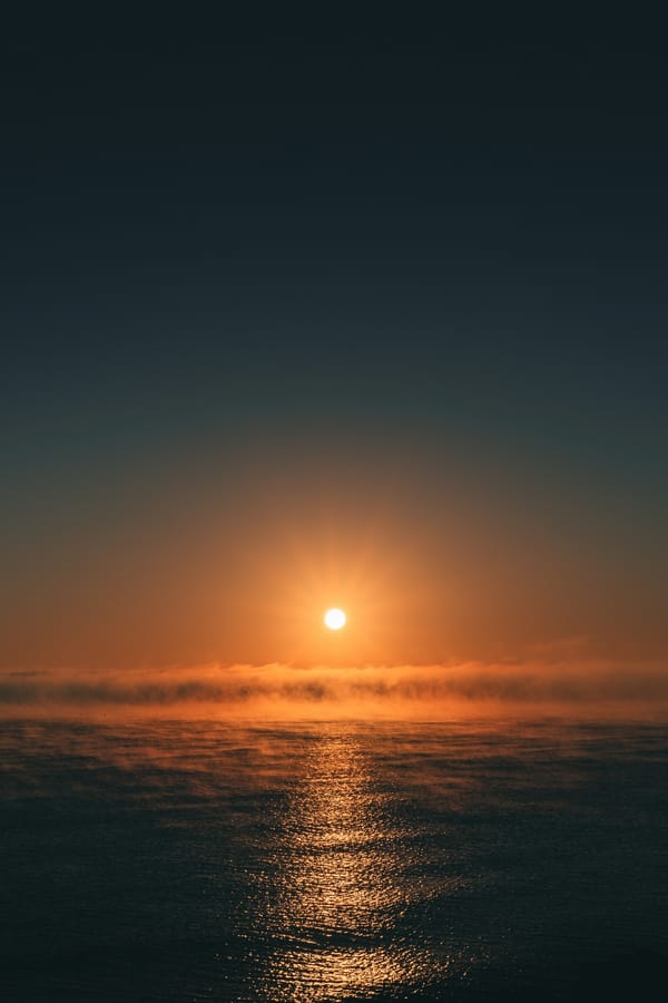 Обои