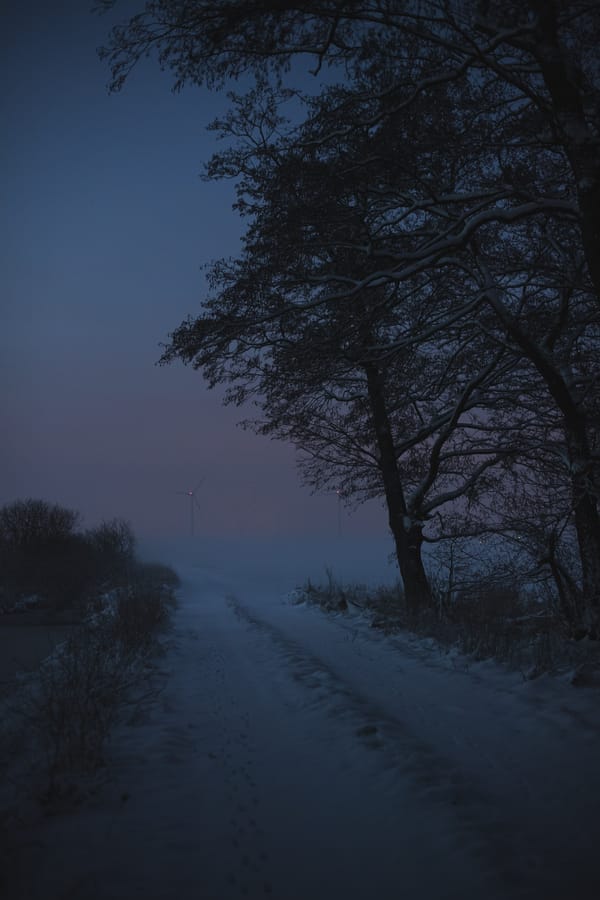Обои