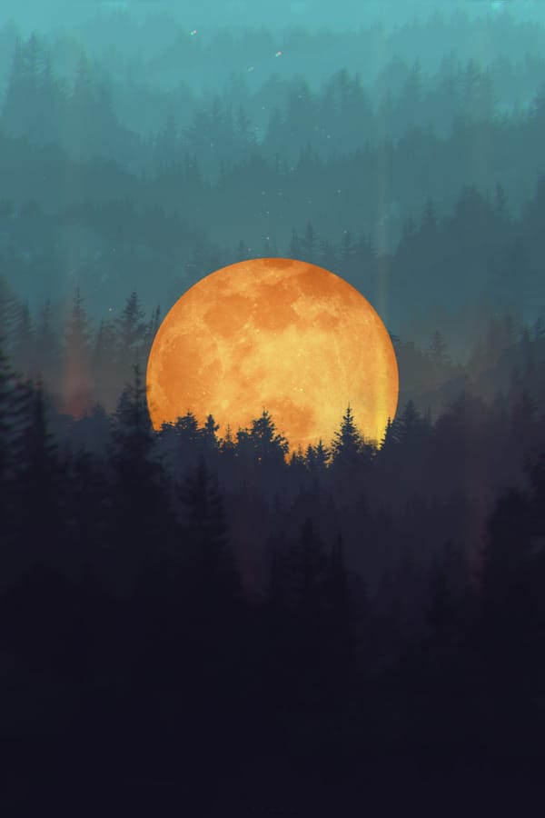Обои