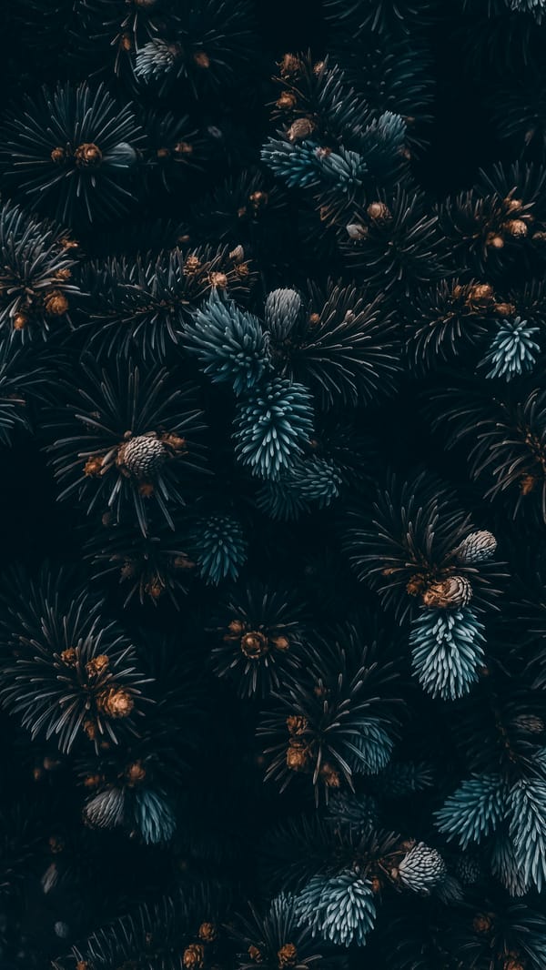 Обои