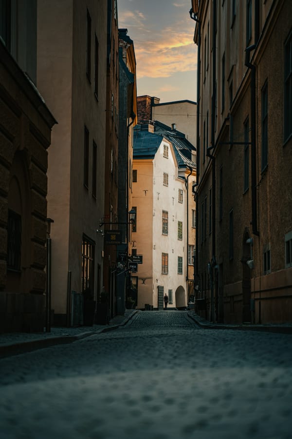 Обои