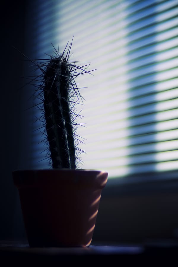 Обои