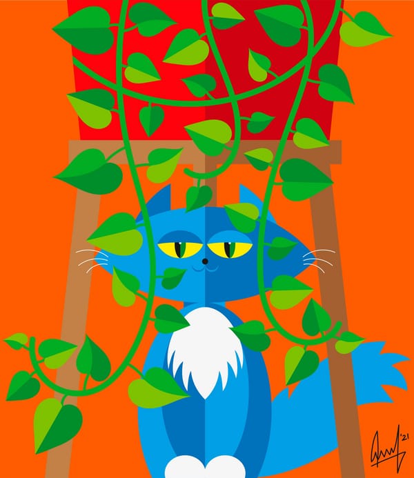 Обои