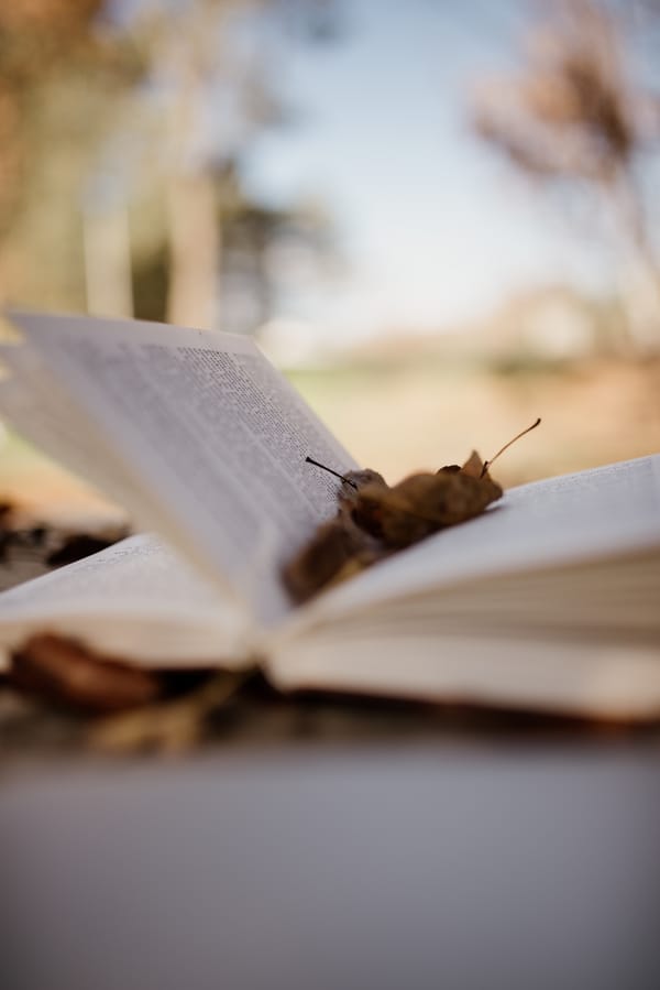 Обои: книга, страницы, листья
