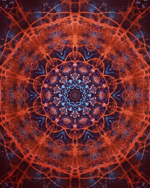 Обои