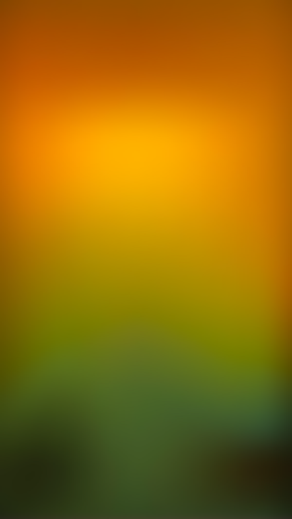 Обои