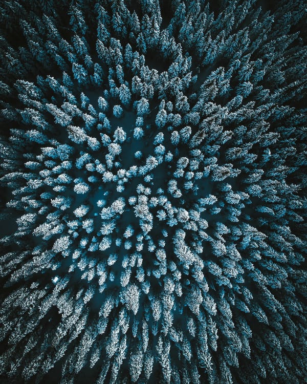 Обои