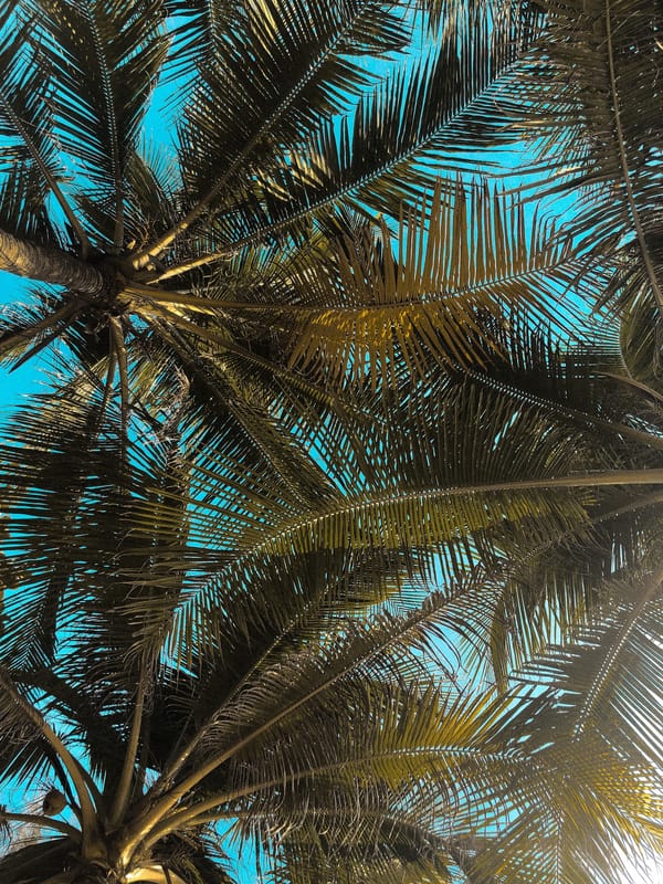 Обои